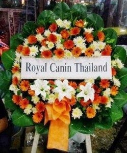 ร้านพวงหรีดวัดเสมียนนารี พวงหรีดจาก Royal Canin Thailand