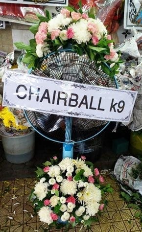 ร้านพวงหรีดวัดมหาพฤฒาราม จาก CHAIRBALL k9