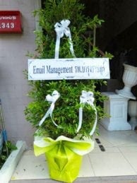 ร้านพวงหรีดวัดชัยมงคล สมุทรปราการ จากEmail Management รพ.บำรุงราษฎร์