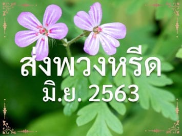 ปก 06 2563 Tm