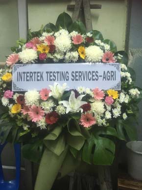 ร้านพวงหรีดวัดคลองเตยใน พวงหรีดจากintertek Testing