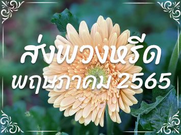 ส่งพวงหรีด พ.ค. 2565