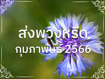 ประวัติการส่งพวงหรีดประจำเดือน กุมภาพันธ์ 2566