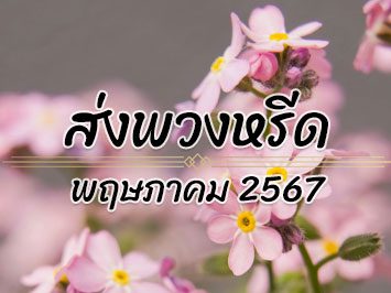 ส่งพวงหรีด พ.ค. 2567