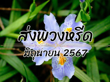 ส่งพวงหรีด มิ.ย. 2567