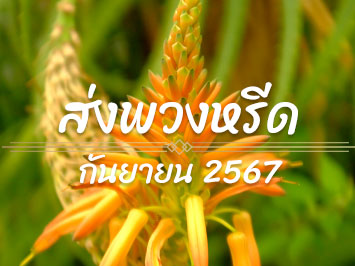 ส่งพวงหรีด ก.ย. 2567