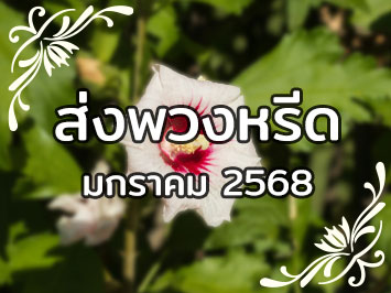 ส่งพวงหรีด ม.ค. 2568