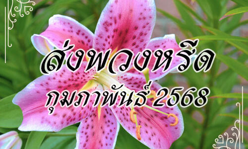 ส่งพวงหรีด ก.พ. 2568